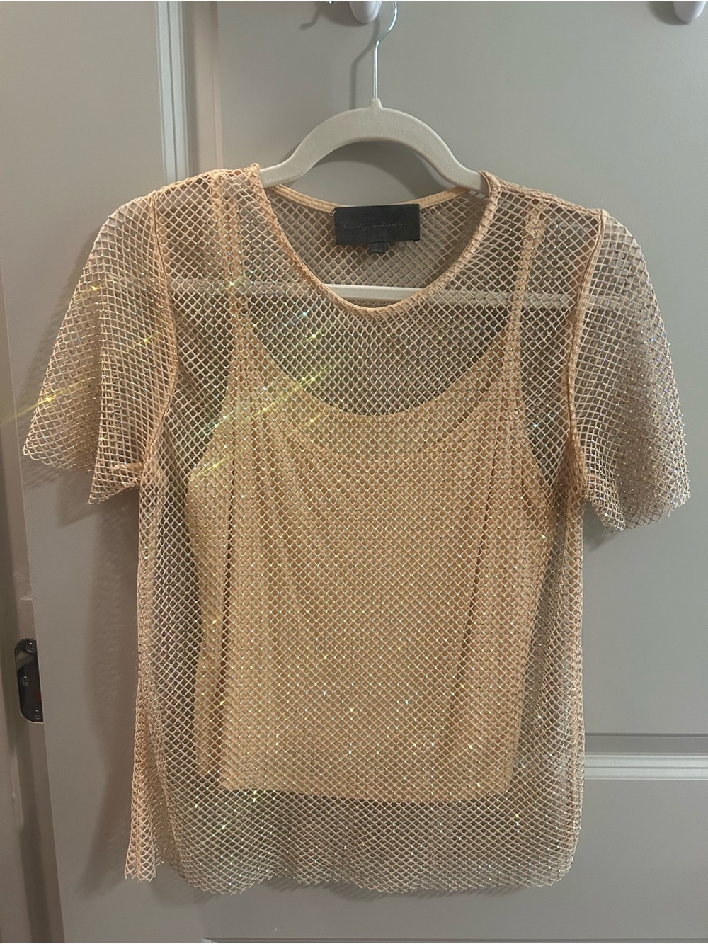 Sunday in Brooklyn Champagne Metallic Mesh Short Sleeve Top